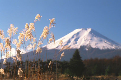 Fuji.jpg