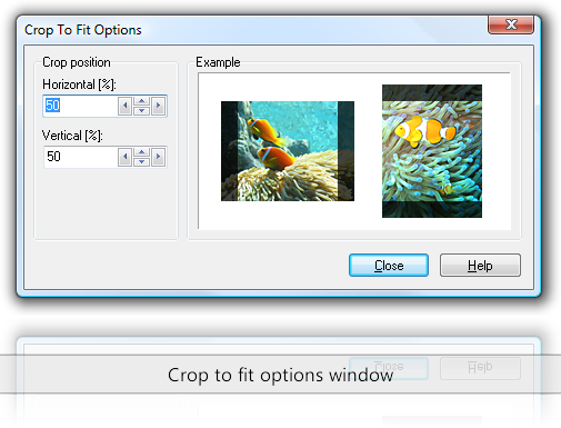Crop to fit options window