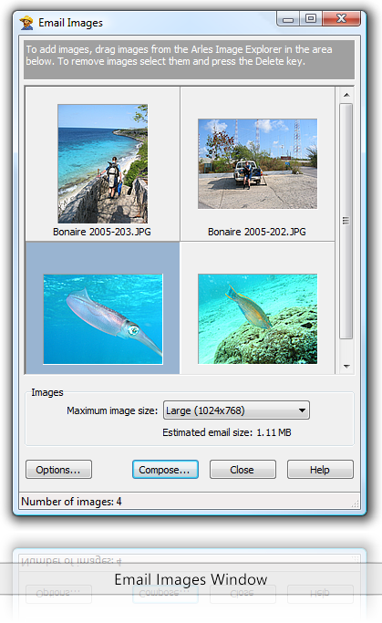 Email Images Window