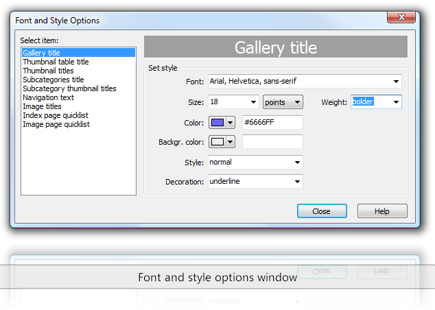 Font and style options window