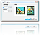 Crop to fit options window