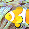 Use cropping for better thumbnails