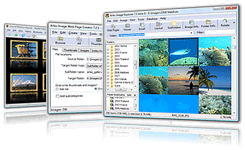 Arles Image Web Page Creator